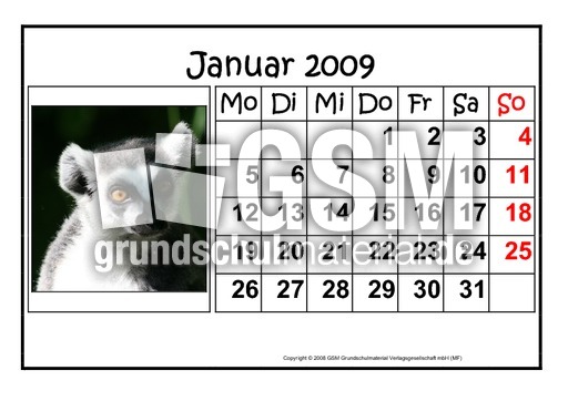1-Januar-2009-quer.pdf